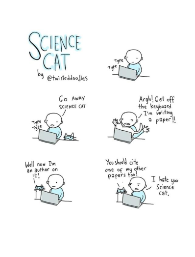 science cat writes a paper